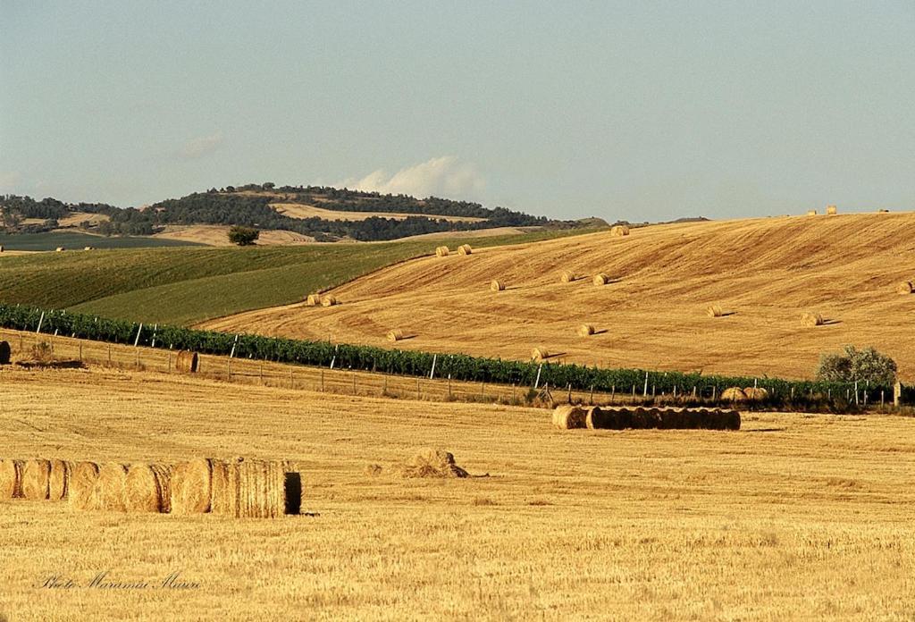 Agriturismo Podere Biancospino Piscina Privata تْشيانشانو  تيرمي المظهر الخارجي الصورة
